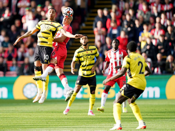 球队引进了 球队引进了