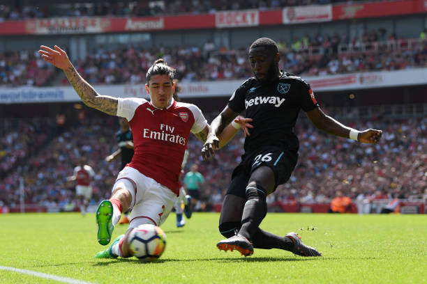 提供了重要 提供了重要